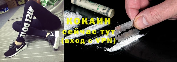 прущие грибы Алексин