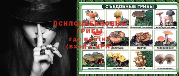 прущие грибы Алексин