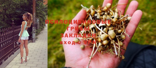 круглые Алексеевка