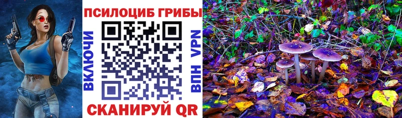 Галлюциногенные грибы MAGIC MUSHROOMS  купить  цена  ссылка на мегу tor  Хотьково 